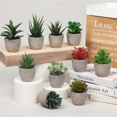 Simulation Succulent Indoor Desktop Placed Mini Succulent Potted Simulation Succulent Plants Bonsai Combination