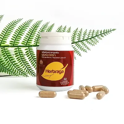 Thai Natural Kudzu Root Plant Extract Capsules Enhance Vitality and Nutritional Supplements