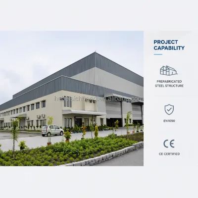 Guatemala 30M Clear Span Galpon De Acero Prefabricated Steel Warehouse Distribution Center Building