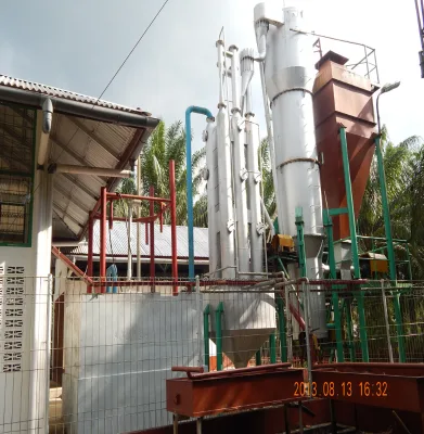 60KW Palm Kernel Shell, Palm Kernel Expeller Gasifier/gasification Power Plant in Indonesia