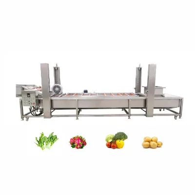 CE Certified Automatic Carrot Apple Potato Cleaning System with Stainless Steel Vegetable Cleaning Production Line