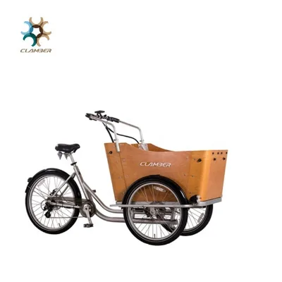 T-BOXE New Electric 110cc Trike for Kids and Pets Open Steel Cargo Bike with 36v Motorized Drive and Disc Brake
