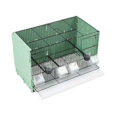 Small Iron Wire Mesh Breathable Bird Houses with Plastic Tray Hot Sale in Thailand