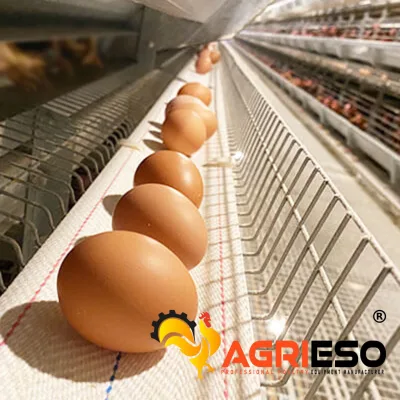 H Type Poultry Cage Egg Collection Belt for Automatic Layer Cage System Egg Conveyor Conveyor Belt Replacement Parts