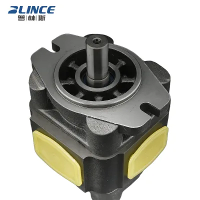 Blince Voi-th IPV 2 4 Servo PV4- 25 PV-32 PV-40 PV-50 PV-63 Internal Hydraulic Oil Gear Pump for Injection Molding Machine