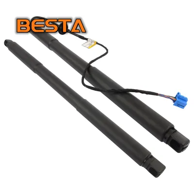 1668900100 Rear Trunk Lift Supports Shocks for Mercedes-Benz X166 GL350 GL450 GL550 GLS450