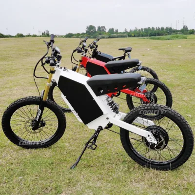 China Hot Products Stealth Bomber 5000w 8000w 72V CHEETAH-PRO Bike Fastest Electric Bicycle in the World