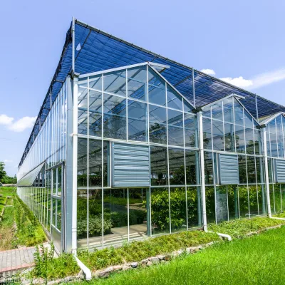 Outdoor Glass Extension House, Poolside Glass Enclosure, Golden Glass Greenhouse, Greenhouse Solutions From China Supplier