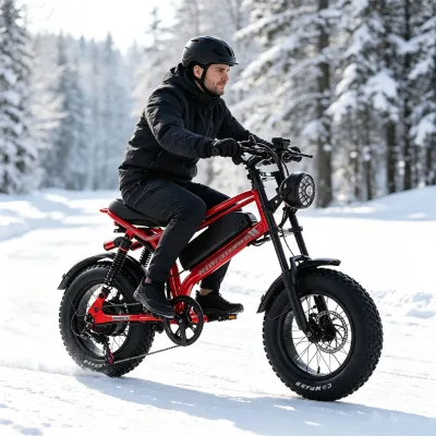 China Professional Manufacture 16x4 Mini Fat Tire Ebike with 48v Removable Battery Dual Suspension Snow Road E Bike for Adult