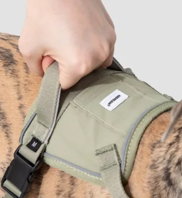 Nylon Durable Waterproof Personalized Classic Simple Dog Quick Wear Explosion-proof Chest Back Outdoor Equipment