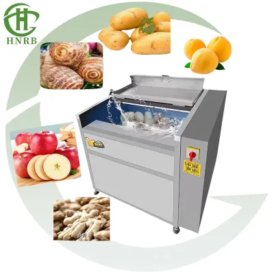 Small Stainless Steel Ginger Peeler and Sweet Potato Washer Machine for Fruits and Vegetables