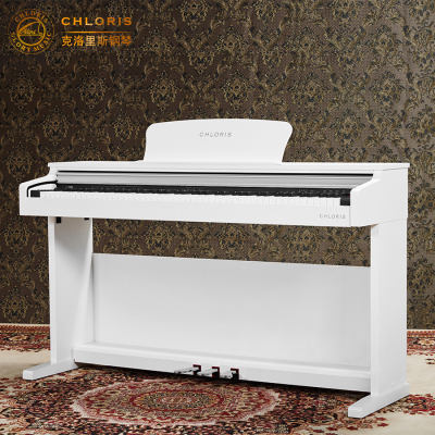 88 Keys Digital Piano CDU-300, Upright Piano, Keyboard, Electronic Piano, Electric Organ