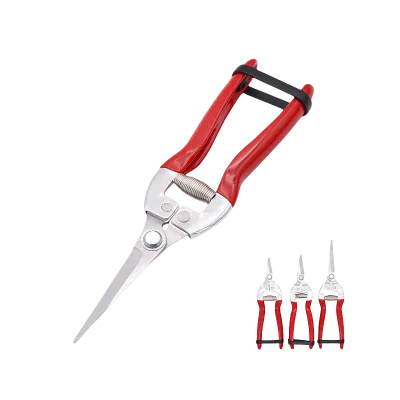 Hydroponic Stainless Steel Fruit Tree Pruners Garden Pruning Shears for Fruit & Vegetable Picking Sample Available