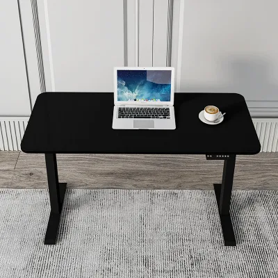 Professional Ergonomics Single-Person Height-Adjustable Electric Lift Workstation