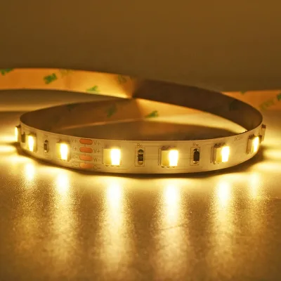 High Brightness Dual White Cct Led Strip Constant Current Led Strip Cct 20M Cct Led Strip Light 2700k 6500k Cri 80