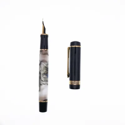 Wholesale Replaceable Ink Fountain Pen Set Acrylic Piston Transparent Fountain Pen