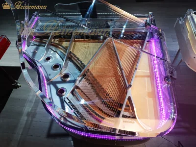 See-Through Baby Grand Acoustic Piano for Wedding, Hotel & Luxury Home LED Light Option Polished Clear Finish