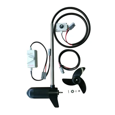 1500RPM Trolling Electric Motor 12v 48v Home Appliance DC Motors