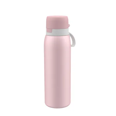 Source Factory Competitive Price SUS304 Stainless Steel Outdoor Car Use Water Filter Bottle NSF Approved Carbon Block