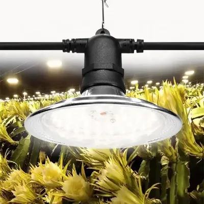 Morden Design Blue 450nm Red 660nm Spectrum Solar Powered Grow Lights 15w Led Plant Grow Bulb