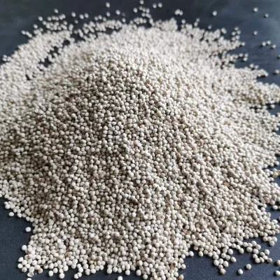 High Quality White Perilla Seeds for Low Price Sale Gray Perilla Seeds Perilla Frutescens Seeds