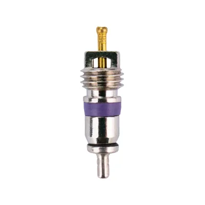 10pcs Valve Core High Side VCBMW Model for for Mercedes for for for Magotan Sagitar AC Repair Accessories Auto Parts