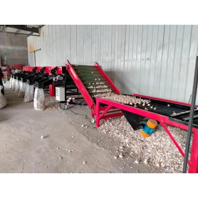 Direct Selling High-Capacity 2000*1700mm Industrial Fruit and Vegetable Sorting Machine for Agri-Food Sectors