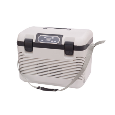 Fridge Mini Refrigerator Storage Box Mobile Refrigerators