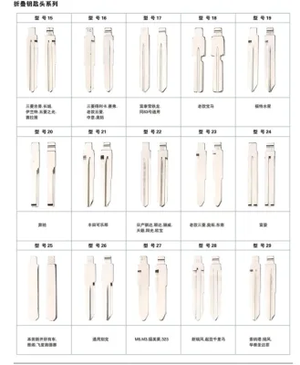 BRAVO Factory Wholesale Waterproof Brass Car Key Blanks & Key Blade Zhejiang Origin