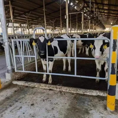 Practical Livestock Gate with Thickened Cattle Panel Cattle Barn Gate for Daily Access Management of Cattle Breeding Barns