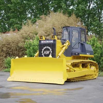 Standard 160HP Bulldozer for Ripping, Landscaping, Clearance HW16 Use in Forest Sell Well in Australia