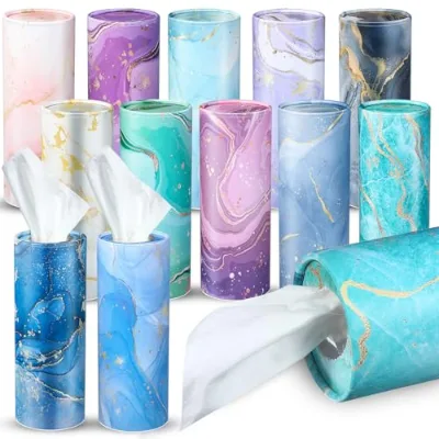 Convenient Bulk Car Bucket Dry Facial Tissues 2-Ply Box Tissues with Tissue Tubes for Travel