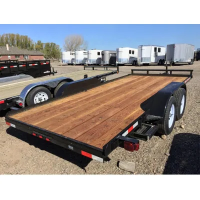 3 Ton Hydraulic Heavy Duty Semi-Trailer with Brakes Steel Trailercar Trailer
