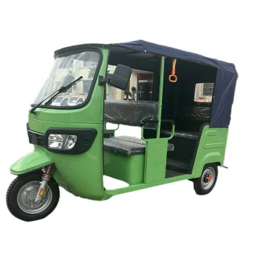 High Quality Sunshade Passenger 600W 1000W Three Wheeled Electric 800W Vehicle 48V 12AH Electric Tricycle