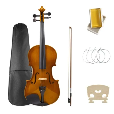R20 Beginner Violin Bridge Combo Set Spruce Violin Instrument