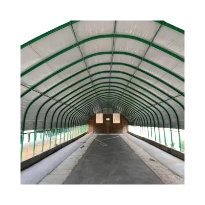 Steel Polytunnel Small Greenhouse Gardening Ground Agriculture Farming Complete Greenhouse Tent for Raise Chickens