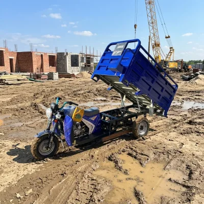 High Efficiency Gasoline 3 Wheel Cargo Tricycle Heavy Duty Motorized Transport Cart for Urban Goods Delivery and Small Business