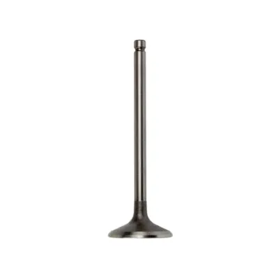Intake Exhaust Valve for Cummins 3802355 3802356 3920867 3802005 3901117 3901607 4995554 6736-41-4110 3920868 4bt 6bt 4D102