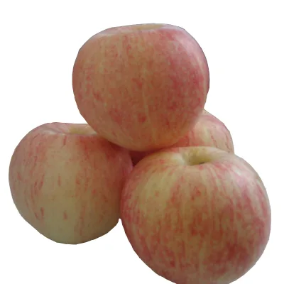 China Wholesale Fresh Royal Gala apple