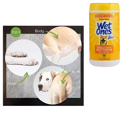 Factory Wholesale Custom Logo Disposable Non-woven Fabric Cat Cleaning Pet Wet Wipes