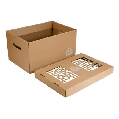 China Cheap Fruit packaging box customized design packaging box corrugated paper