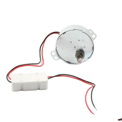 CW/CCW 12V DC Gear Motor 24V 49TYJ Used in Home Devices