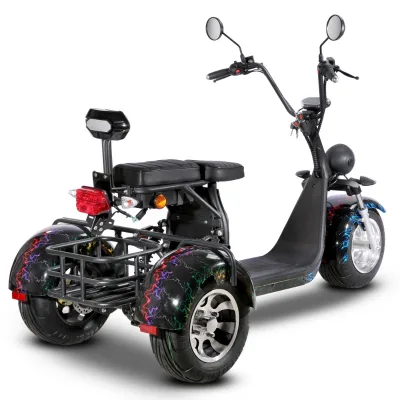 Long Range Eec Coc Certificate Three Wheels Electric Motorcycle Scooter With Golf Holder