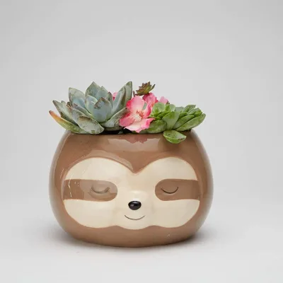 Zen Sloth Planter Pot for Flowers and Plants
