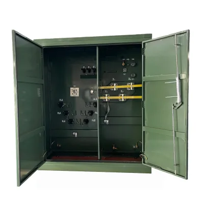 Pad-Mounted Transformer Enclosure with Separate HV and LV Compartments for Outdoor Applications