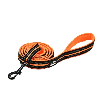 Cross-border New Dog Leash with Comfortable Handle and Reflective Webbing Nylon Material in Stock for Wholesale