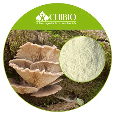 100% Vegetal Source Plant-based Mushroom Chitosan Around 200cps for Textiles Dying Agent