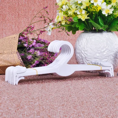 Non-slip Lightweight Plastic Clothes Bra Underwear Hanger Wardrobe Closet Drying Rack Organizer