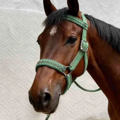 2025 Wholesale Personalized Horse Halter Soft yet Strong Nylon Rope Design Custom Logo Option Horse Equipment