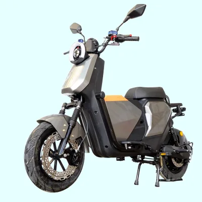 Scooteur Rear Carrier Model 2023 E Bike Motorcycle Disc Brake